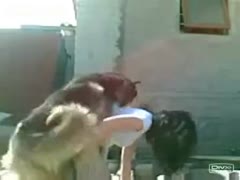 Sexy wife getting drilled by glamorous dogs